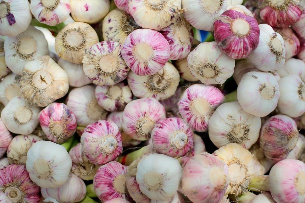 Free Image of Garlic in Farmer\'s Market  